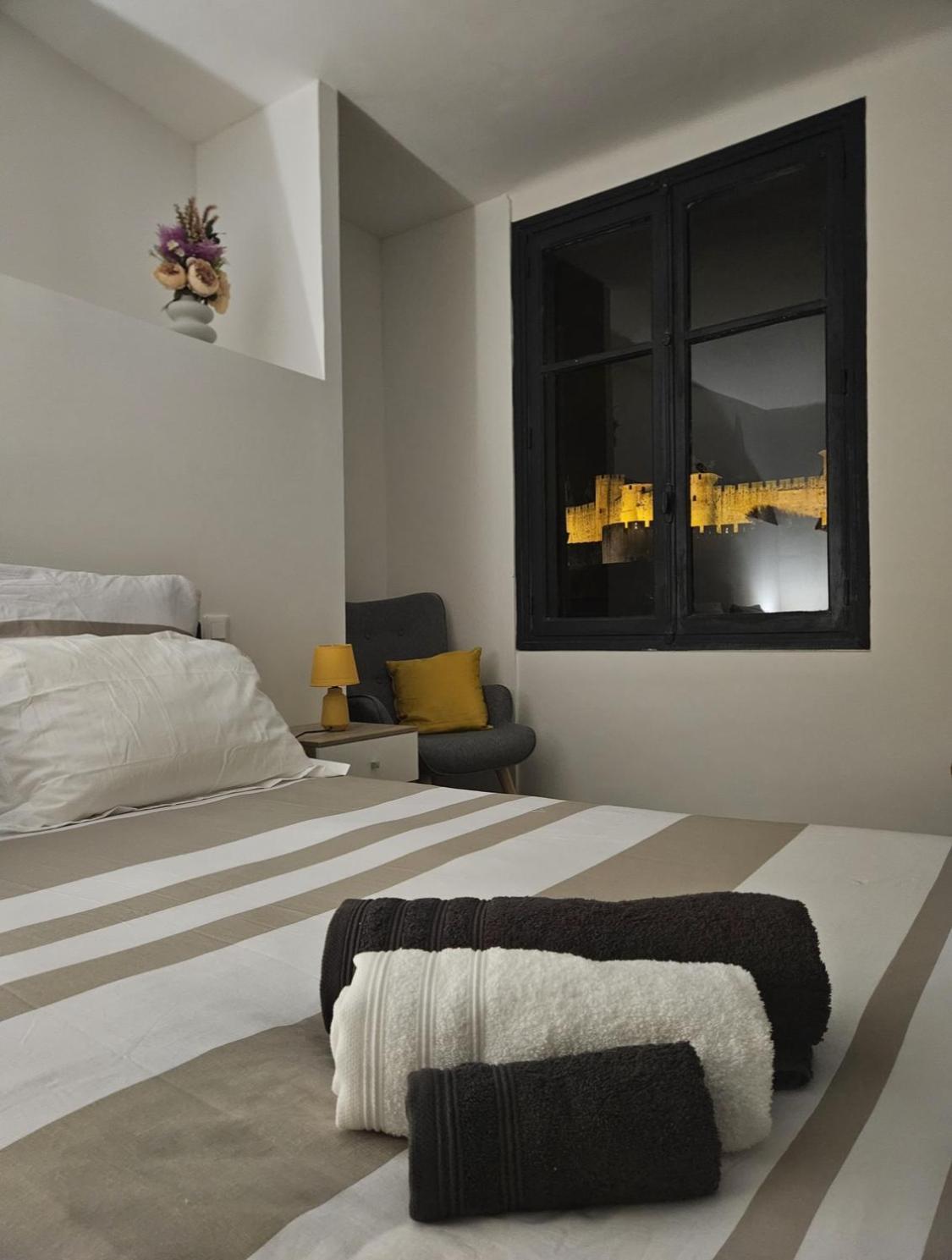 Vue Cite Medievale Castel View Carcassonne Ngoại thất bức ảnh