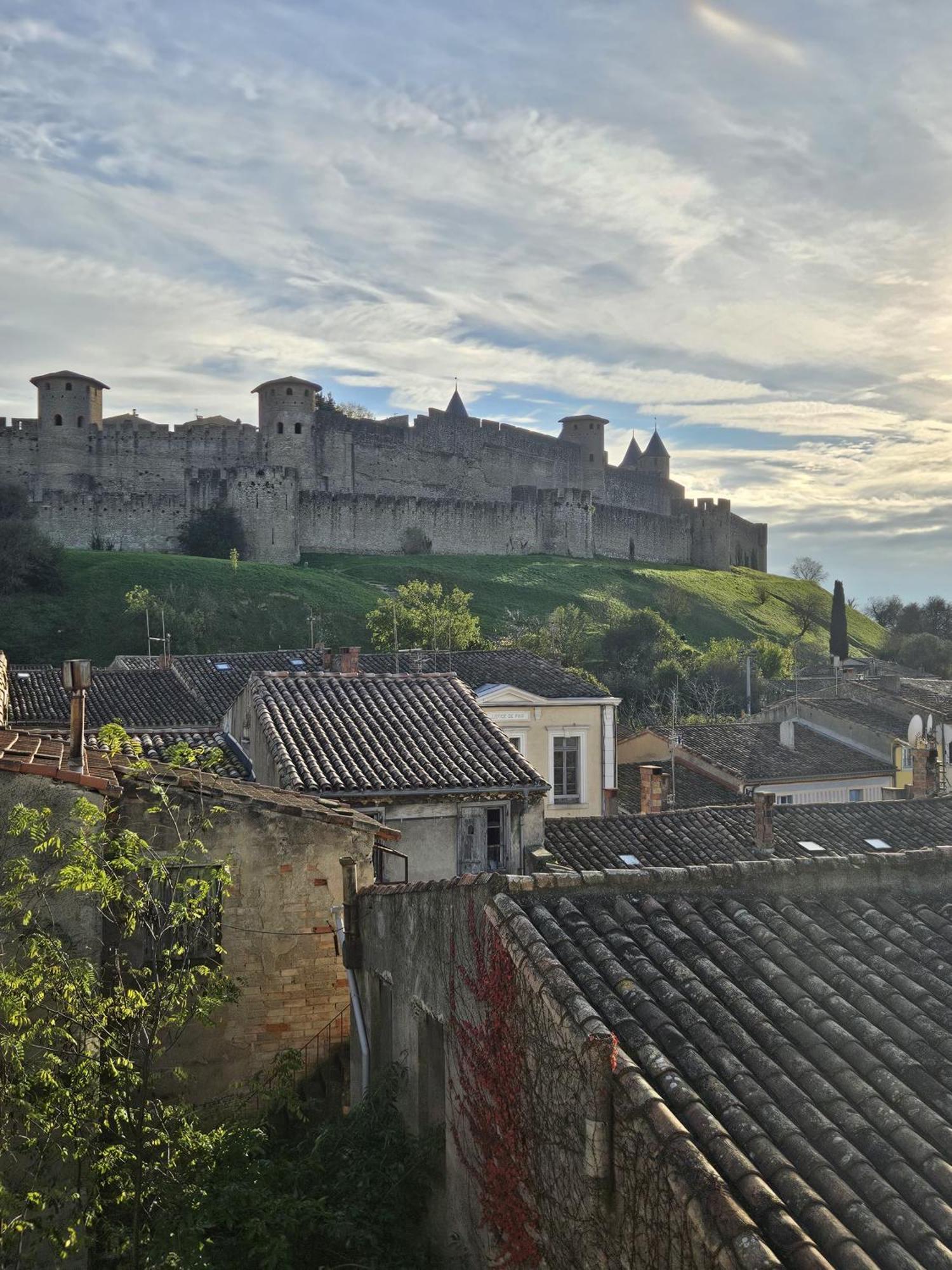 Vue Cite Medievale Castel View Carcassonne Ngoại thất bức ảnh