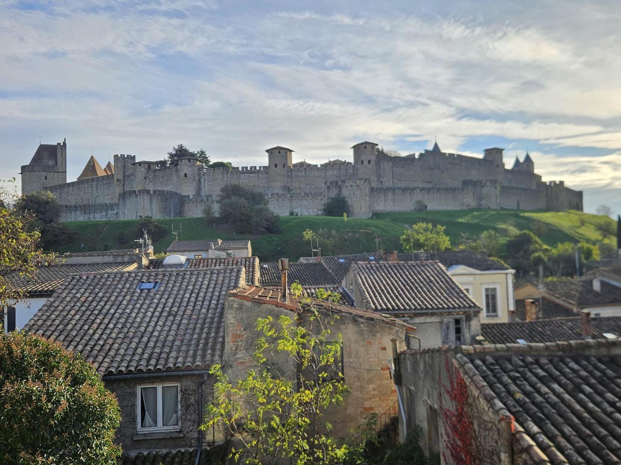 Vue Cite Medievale Castel View Carcassonne Ngoại thất bức ảnh