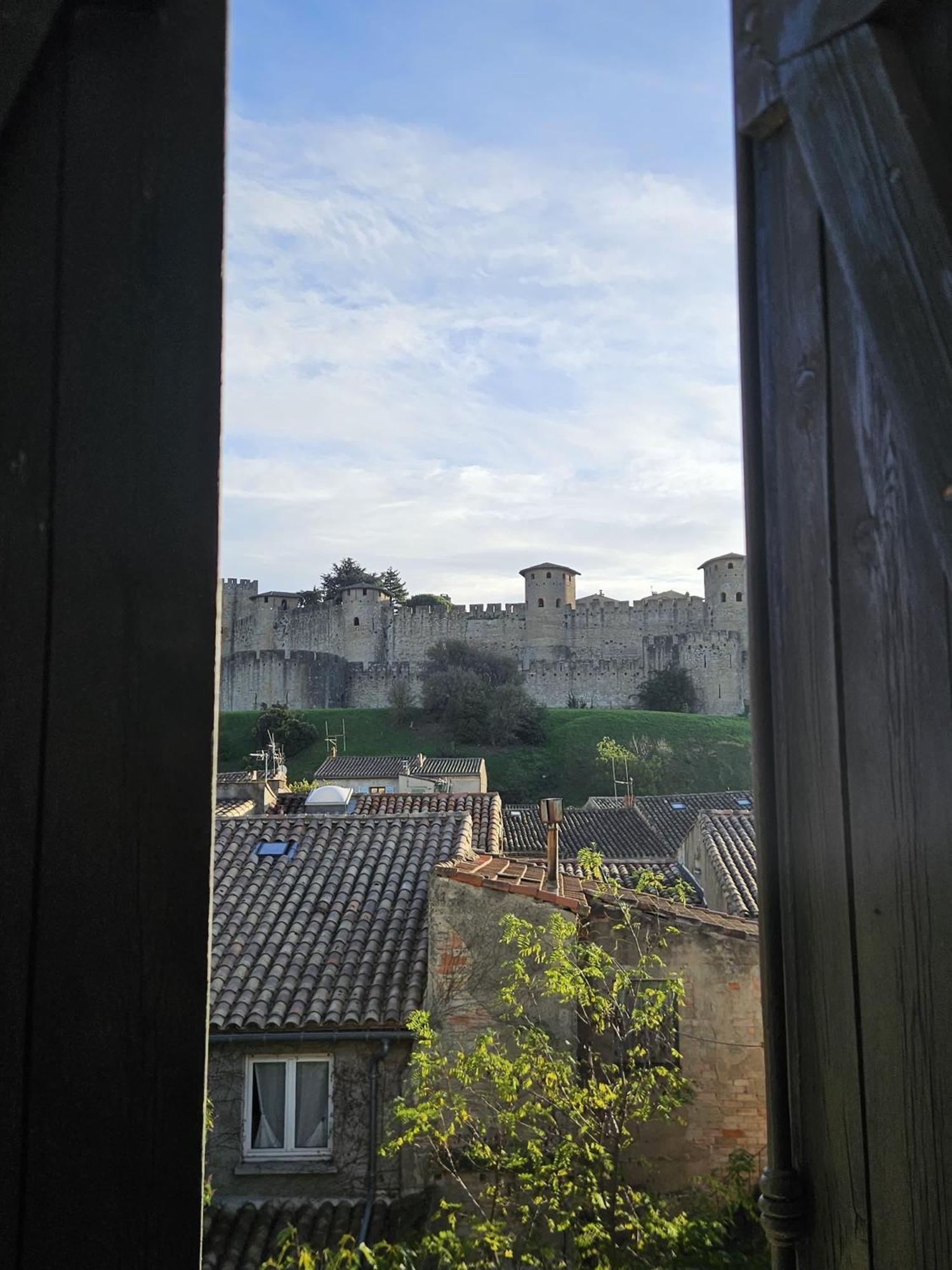 Vue Cite Medievale Castel View Carcassonne Ngoại thất bức ảnh