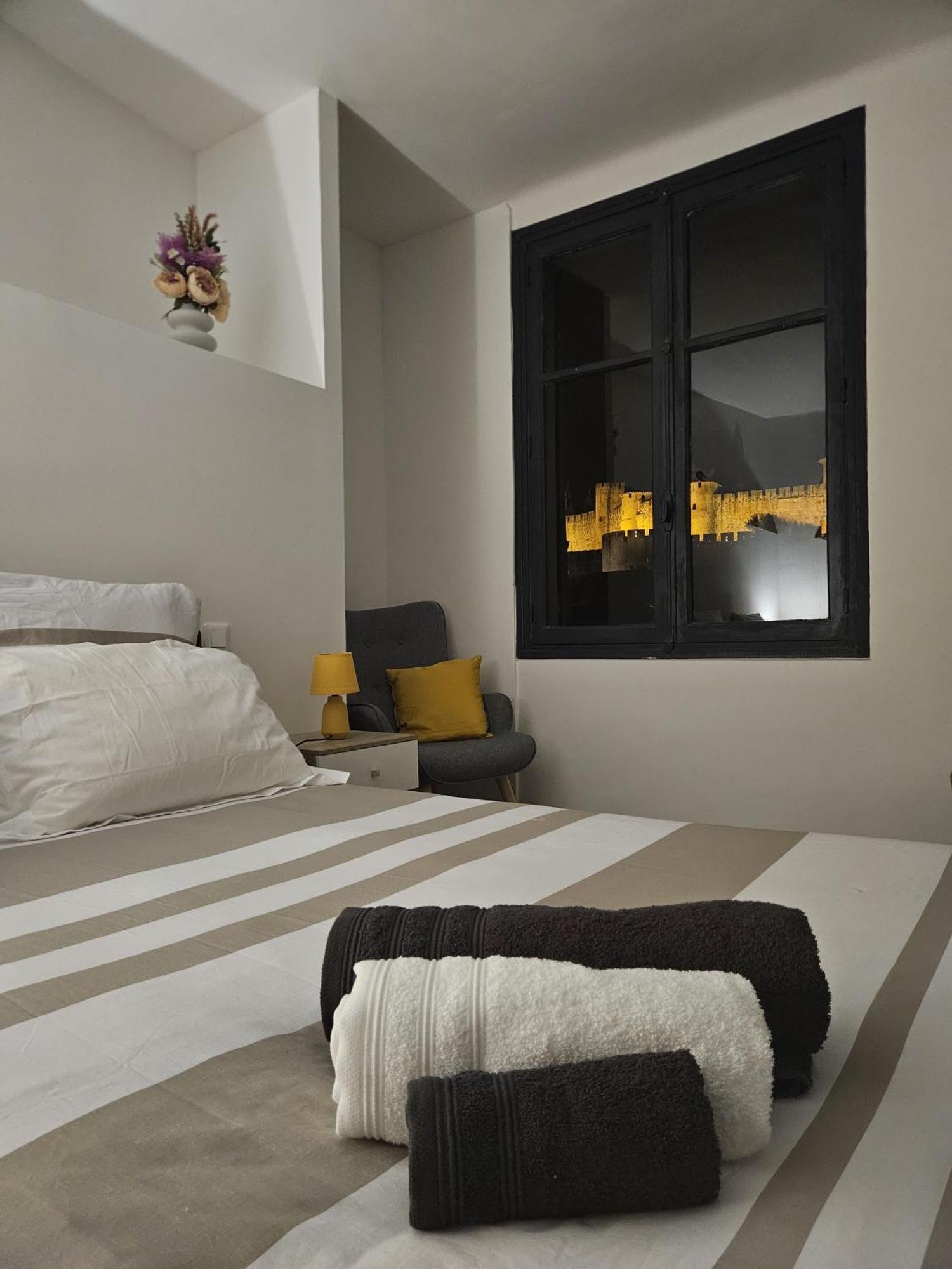 Vue Cite Medievale Castel View Carcassonne Ngoại thất bức ảnh